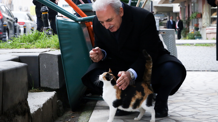 ÜMRANİYE BELEDİYE BAŞKAN ADAYI YILDIRIM'IN HAYVAN SEVGİSİ YILDIRIM EVİNİN BAHÇESİNDE ON BEŞE YAKIN KEDİ BESLİYOR MAHALLEYİ GEZEN YILDIRIM, SOKAKTA GEZEN KEDİYİ SEVDİ YILDIRIM, "ON BEŞ CİVARINDA KEDİYE BAKIYORUM BEN EVİN BAHÇESİNDE.