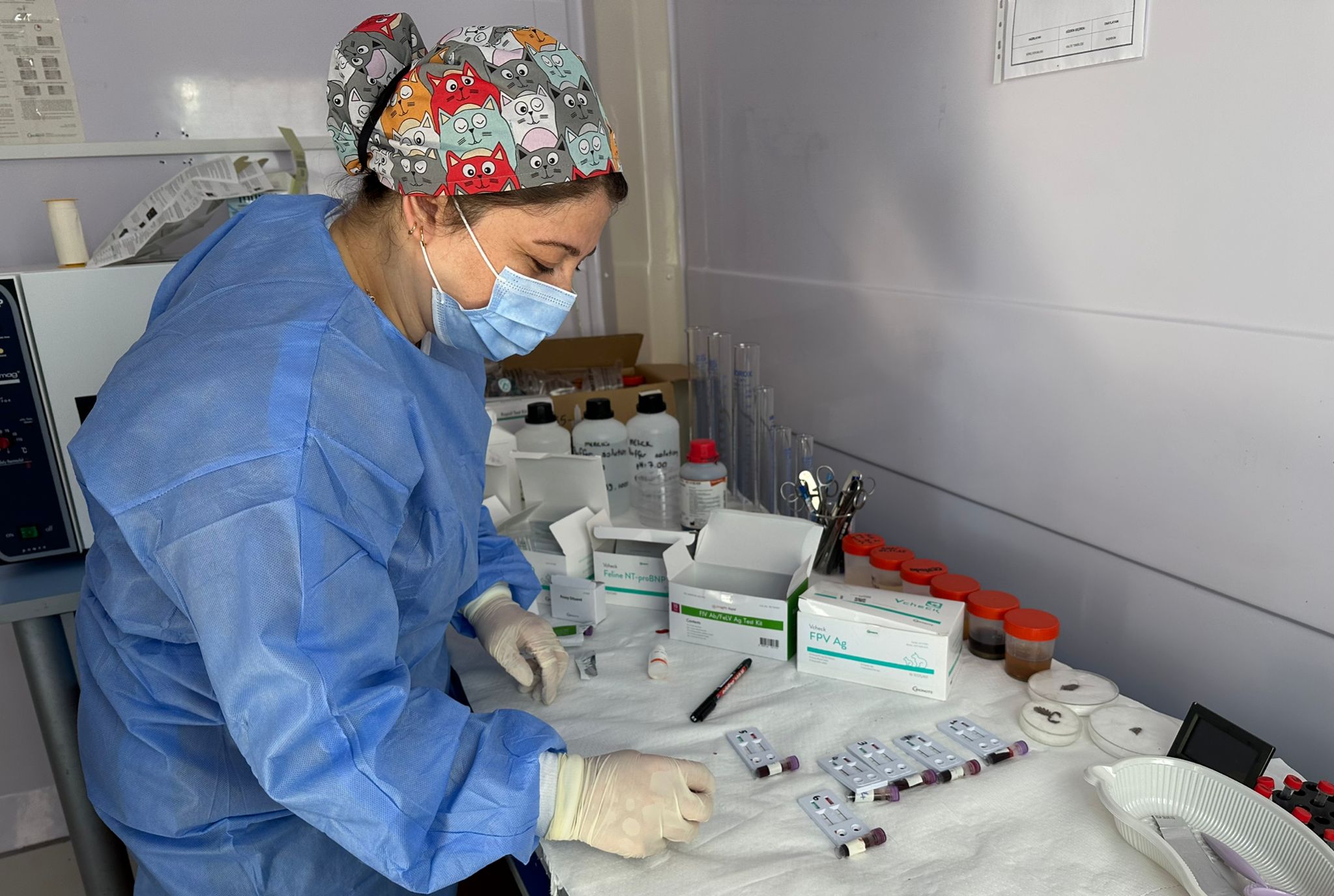 GÜL HOCA LAB2